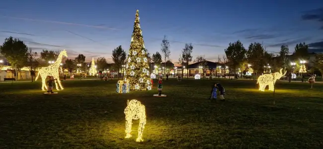 Foto S-a aprins iluminatul festiv din Slatina. Probe făcute de Primărie, în Parcul Tineretului