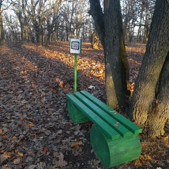 Foto Traseu tematic, în Pădurea Saru. Ce pot afla vizitatorii (FOTO)