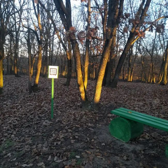 Foto Traseu tematic, în Pădurea Saru. Ce pot afla vizitatorii (FOTO)