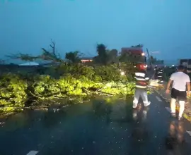 Foto Copaci pe carosabil: Drum naţional blocat, între Olt şi Vâlcea