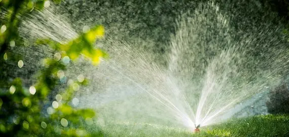 Foto CAO: „Consumaţi responsabil apa din reţeaua publică! Nu o folosiţi pentru udatul gazonului, grădinilor sau umplerea piscinelor!”