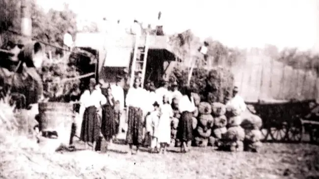 Foto Secerișul de odinioară, pe moşia unui boier din Olt: Munca agricolă de acum 100 de ani (FOTO)