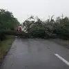 Imagine FOTO. Vijelie puternică, la Movileni. Furtuna a deborât mai mulţi copaci pe DJ 546 B