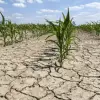 Imagine Sudul și Estul României vor pierde 20% din resursele de apă. Avertismentul ministrului Mediului