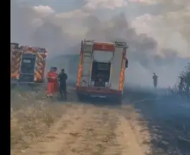 Foto Incendiu de vegetaţie uscată, pe o suprafaţă vastă, la marginea Slatinei (VIDEO)