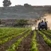 Foto Fermierii vor primi banii în avans. Anunţul ministrului Florin Barbu