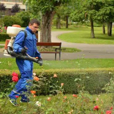 Foto AJOFM Olt organizează în octombrie cursuri de formare profesională pentru 56 de persoane