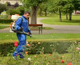 Foto AJOFM Olt organizează în octombrie cursuri de formare profesională pentru 56 de persoane