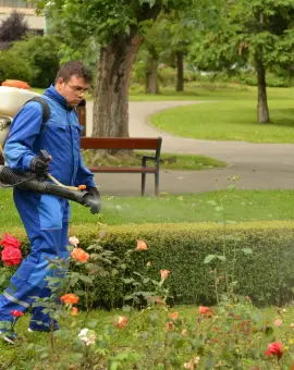 Foto AJOFM Olt organizează în octombrie cursuri de formare profesională pentru 56 de persoane