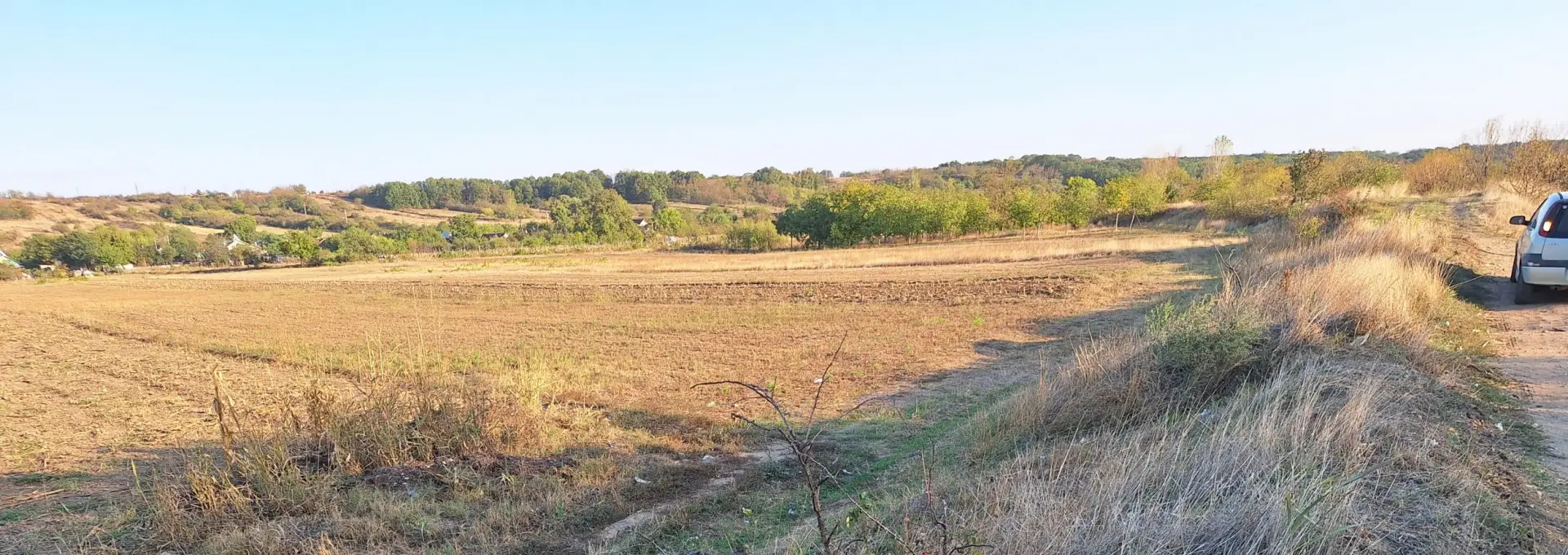 Foto Descoperire macabră în Brebeni: Fragmente osoase și un craniu uman