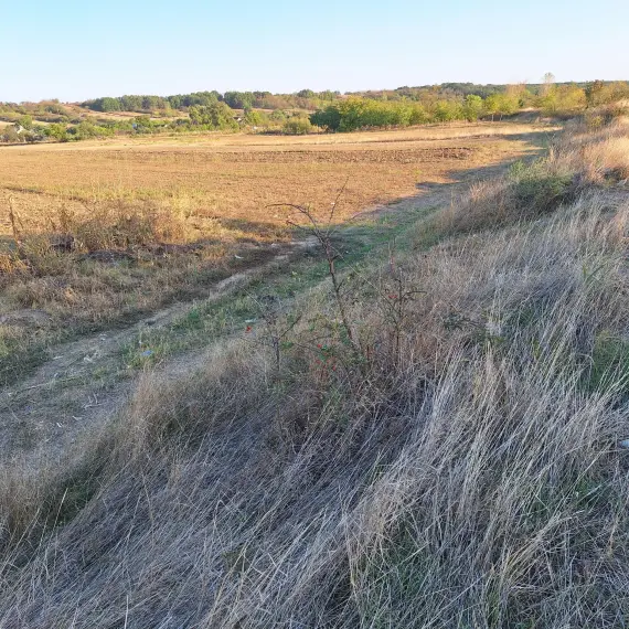 Foto Descoperire macabră în Brebeni: Fragmente osoase și un craniu uman