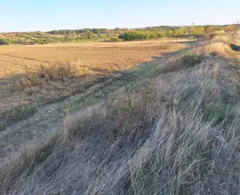 Foto Descoperire macabră în Brebeni: Fragmente osoase și un craniu uman