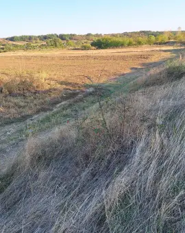 Foto Descoperire macabră în Brebeni: Fragmente osoase și un craniu uman