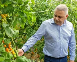 Foto Florin Barbu: Încep plăţile pentru a doua tranşă din Programul „Tomata”