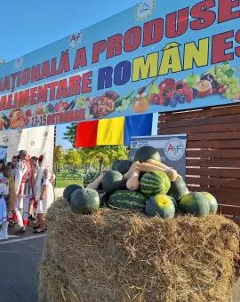 Foto Zilele Recoltei 2024, în weekend la Slatina. Produse tradiţionale şi atmosferă întreţinută de Antonia, Alex Velea şi Babasha