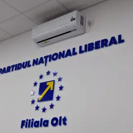 Foto Candidat PNL Olt la Camera Deputaţilor, respins de Biroul Electoral