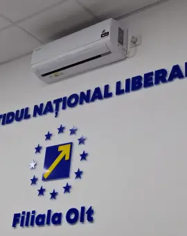 Foto Candidat PNL Olt la Camera Deputaţilor, respins de Biroul Electoral