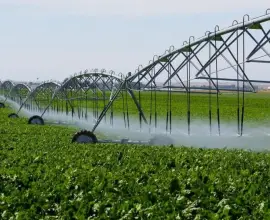 Foto Canalele de irigații din zona Drăgănești-Olt, reabilitate. Anunţul ministrului Agriculturii