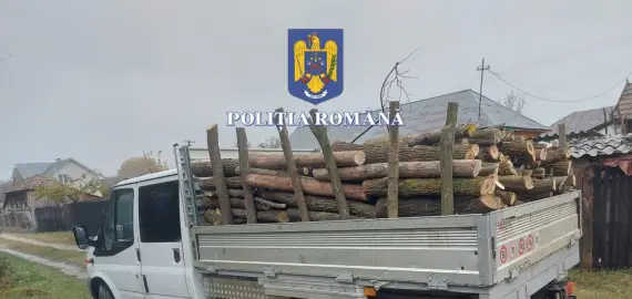 Foto Percheziții în Olt: Patru persoane suspectate de tăiere și furt de arbori din pădurea Tătuleasca (FOTO)