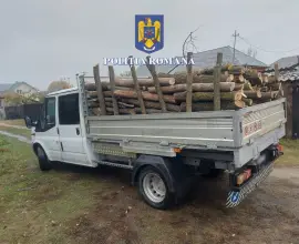 Foto Percheziții în Olt: Patru persoane suspectate de tăiere și furt de arbori din pădurea Tătuleasca (FOTO)