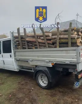 Foto Percheziții în Olt: Patru persoane suspectate de tăiere și furt de arbori din pădurea Tătuleasca (FOTO)