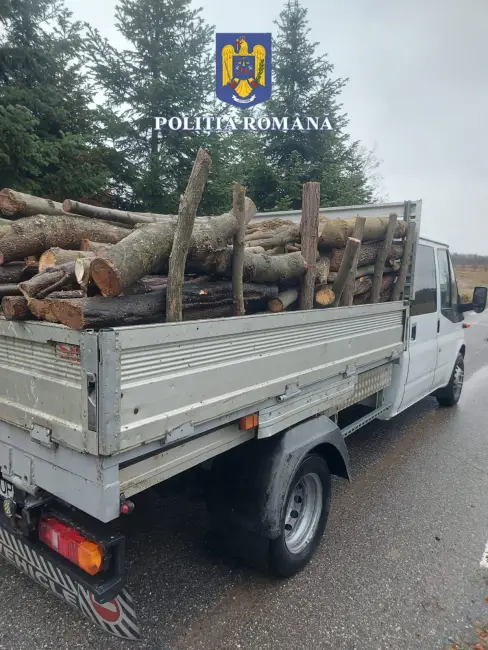 Foto Percheziții în Olt: Patru persoane suspectate de tăiere și furt de arbori din pădurea Tătuleasca (FOTO)