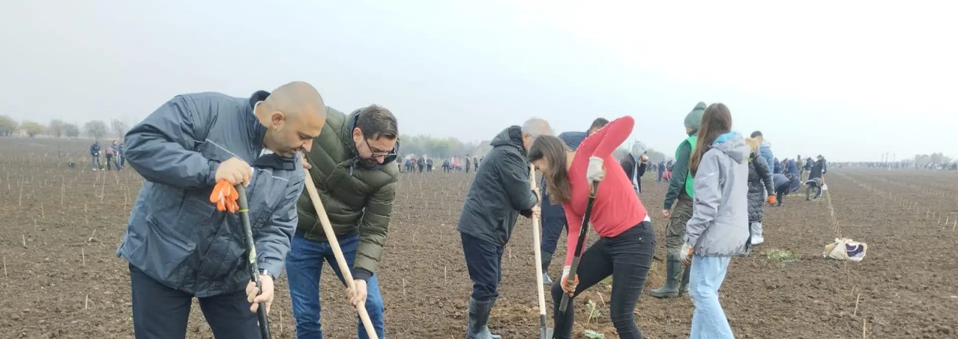 Foto Caracal devine mai verde: peste 38.000 de puieți plantați de 1.000 de voluntari