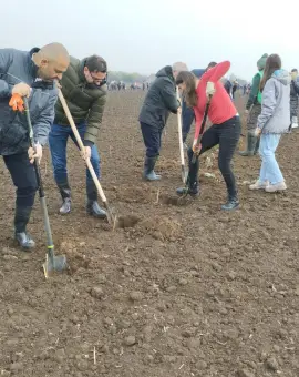 Foto Caracal devine mai verde: peste 38.000 de puieți plantați de 1.000 de voluntari