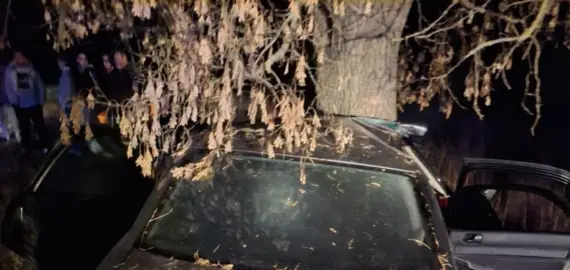 Foto A murit şi şoferul, în vârstă de 18 ani, care a intrat cu maşina în pom, la Corabia