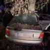 Foto A murit şi şoferul, în vârstă de 18 ani, care a intrat cu maşina în pom, la Corabia