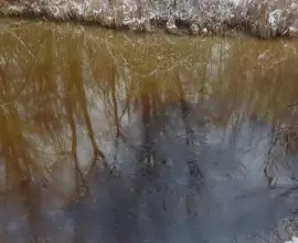 Foto Apele râului Olt, poluate cu produs petrolier