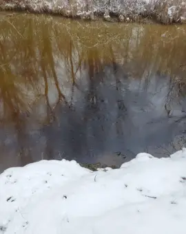 Foto Apele râului Olt, poluate cu produs petrolier