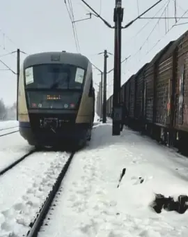 Foto Tren cu zeci de călători rămas în frig, pe un câmp, în apropiere de judeţul Olt (FOTO)