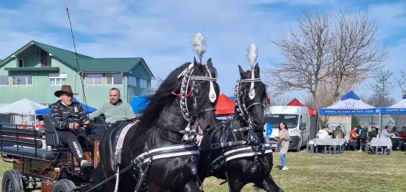 Foto Sute de crescători de animale din 15 judeţe, la Sărbătoarea “Încuratu' Cailor de Sân' Toader“ de la Brâncoveni (FOTO&VIDEO)