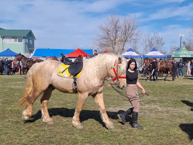 Foto Sute de crescători de animale din 15 judeţe, la Sărbătoarea “Încuratu' Cailor de Sân' Toader“ de la Brâncoveni (FOTO&VIDEO)