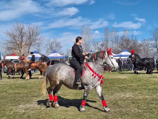 Foto Sute de crescători de animale din 15 judeţe, la Sărbătoarea “Încuratu' Cailor de Sân' Toader“ de la Brâncoveni (FOTO&VIDEO)