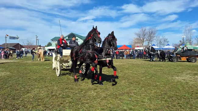 Foto Sute de crescători de animale din 15 judeţe, la Sărbătoarea “Încuratu' Cailor de Sân' Toader“ de la Brâncoveni (FOTO&VIDEO)