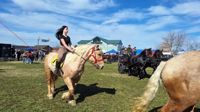 Foto Sute de crescători de animale din 15 judeţe, la Sărbătoarea “Încuratu' Cailor de Sân' Toader“ de la Brâncoveni (FOTO&VIDEO)